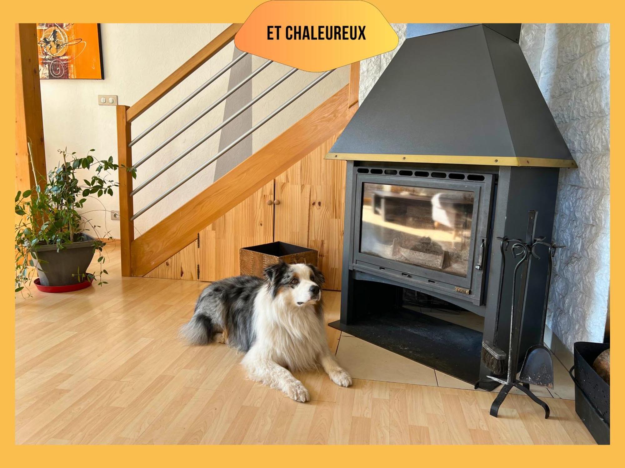 Maison Le Vignoble Avec Jardin - 6 Personnes Ribeauvillé Exterior foto